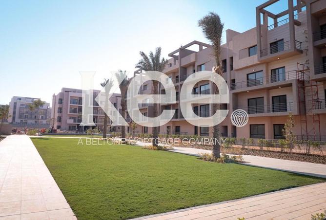 8437710 - صورة العقار 3