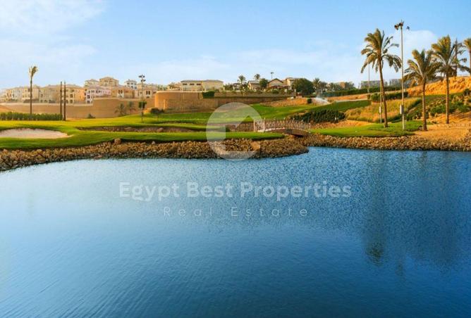 8118101 - Property Image 3
