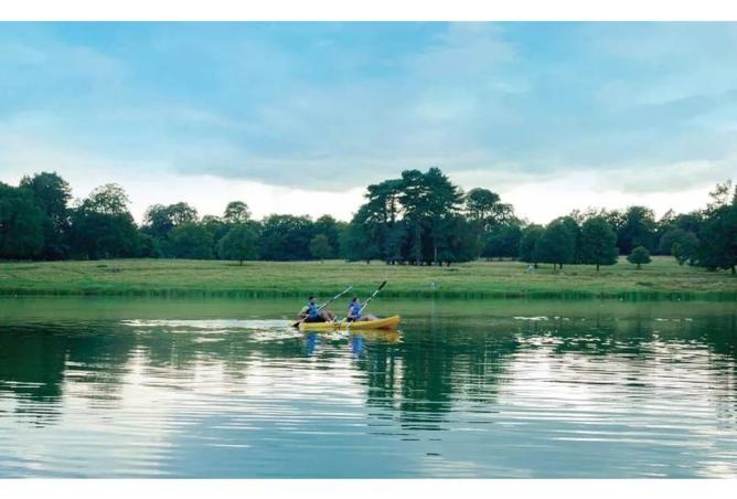 8404921 - صورة العقار 2