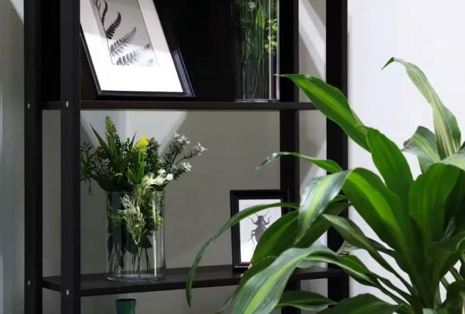 8009703 - Property Image 3