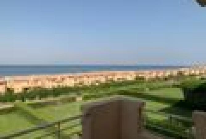 7942079 - الصورة الرئيسية للعقار