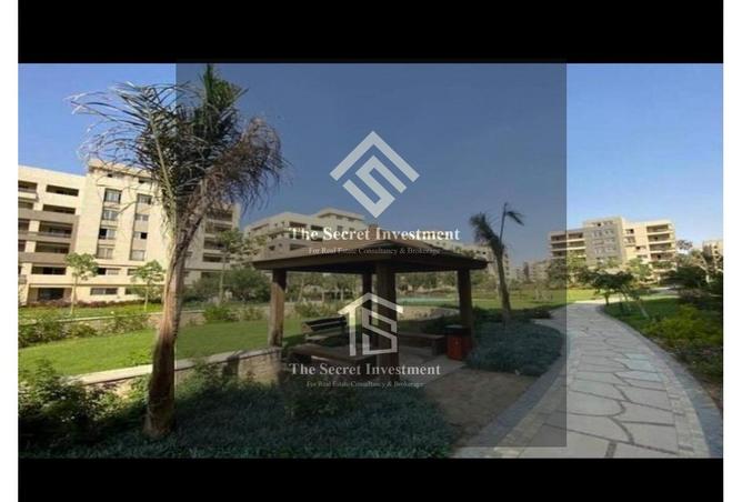 8507372 - Property Image 3