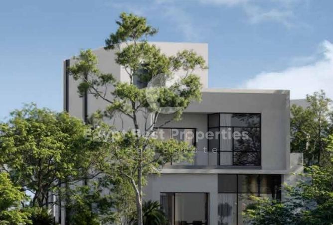 8006057 - Property Image 3