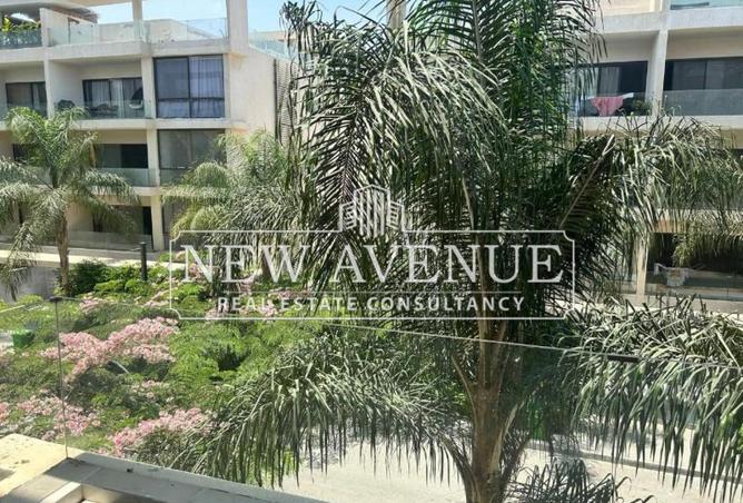 8136477 - Property Image 3