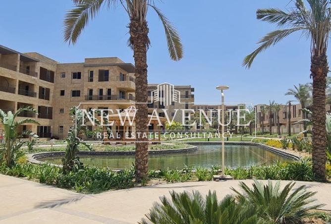 7990939 - الصورة الرئيسية للعقار