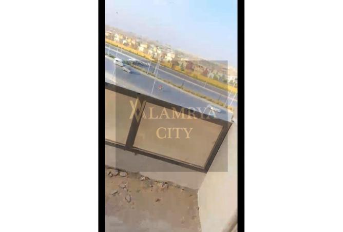 8135218 - Property Image 3