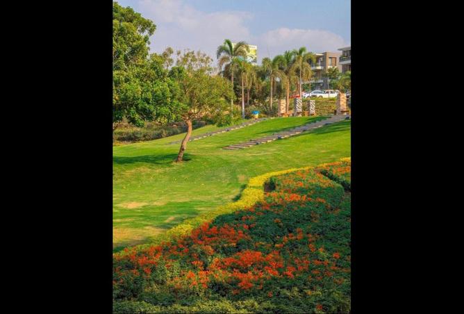 8231467 - صورة العقار 2