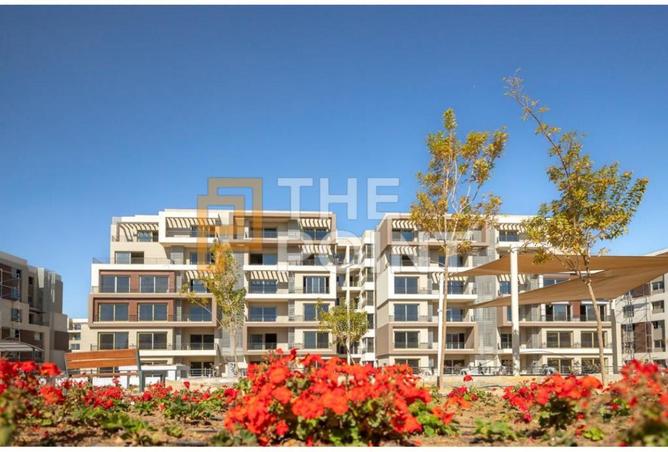 8209142 - صورة العقار 3