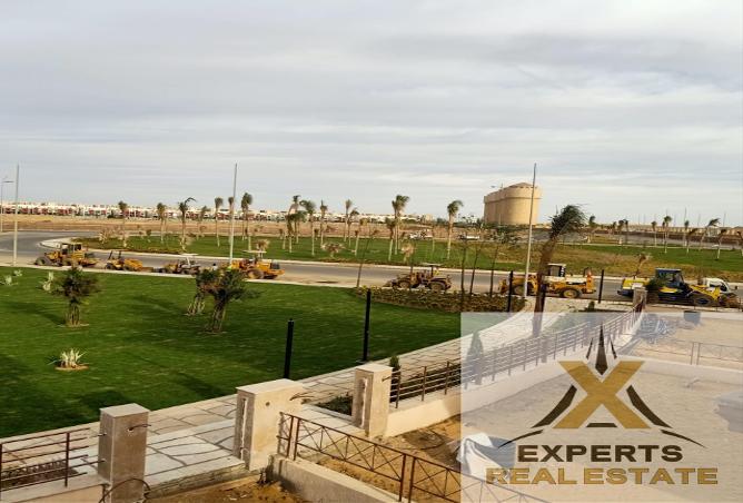 7999253 - Property Image 3