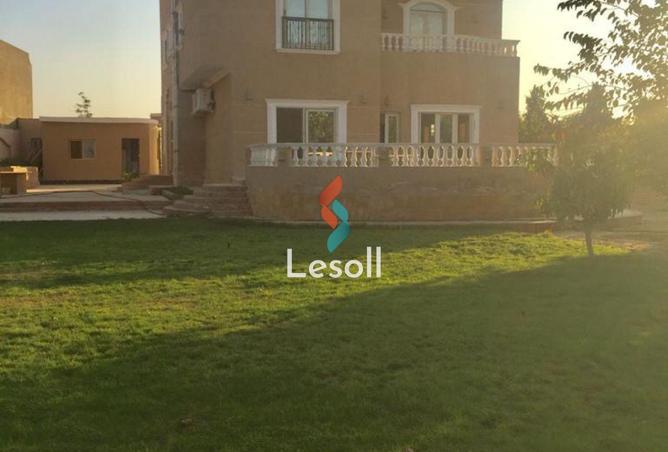 8262974 - الصورة الرئيسية للعقار