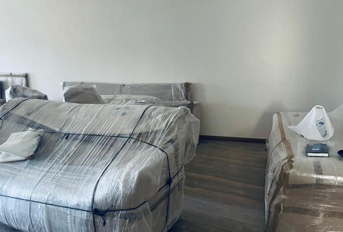 8186441 - Property Image 2