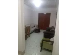Apartment - 3 Bedrooms - 1 Bathroom for rent in Saeed Zo Al Faqar St. - El Manial - Hay El Manial - Cairo