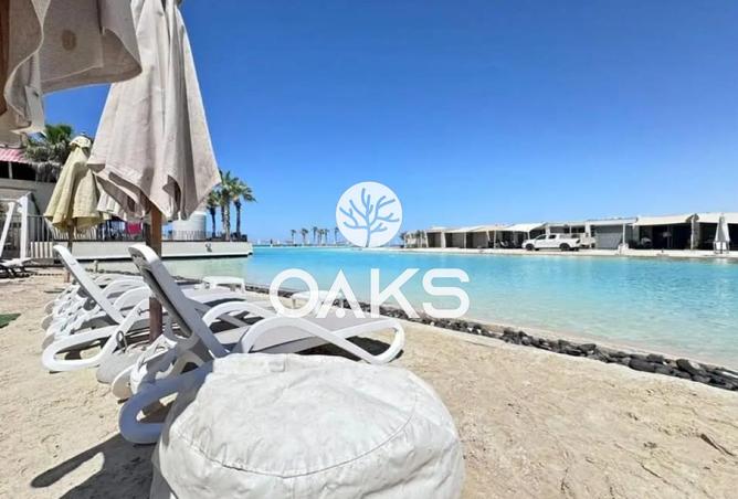 8314855 - Property Image 3