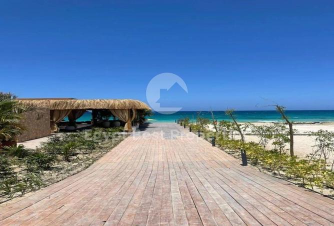 8500684 - Property Image 3