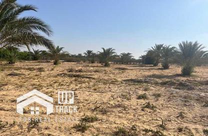 قطعة أرض - استوديو للبيع في افق - طريق مصر اسكندرية الصحراوي - مدينة 6 أكتوبر - الجيزة