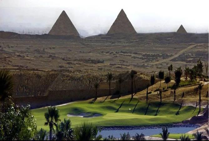 7967949 - صورة العقار 2