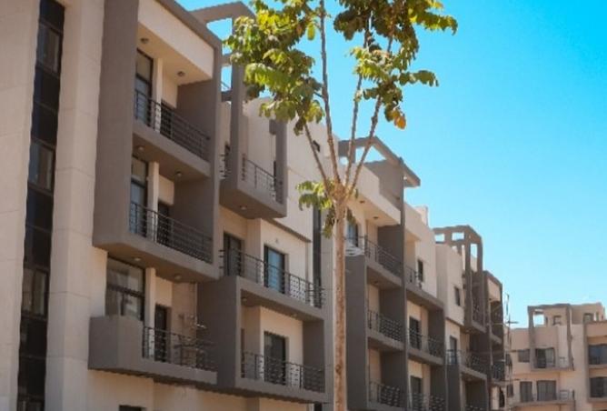 8390196 - Property Image 2