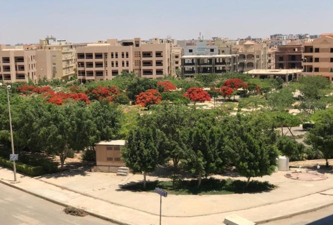 8249395 - Property Image 2