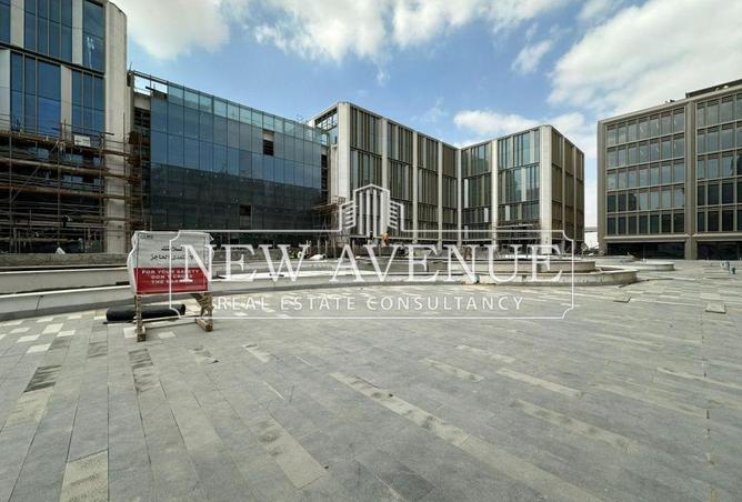 8243819 - Property Image 3