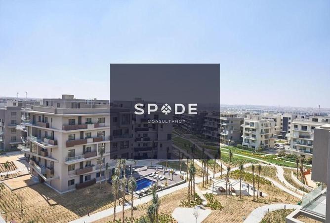 8089038 - Property Image 2