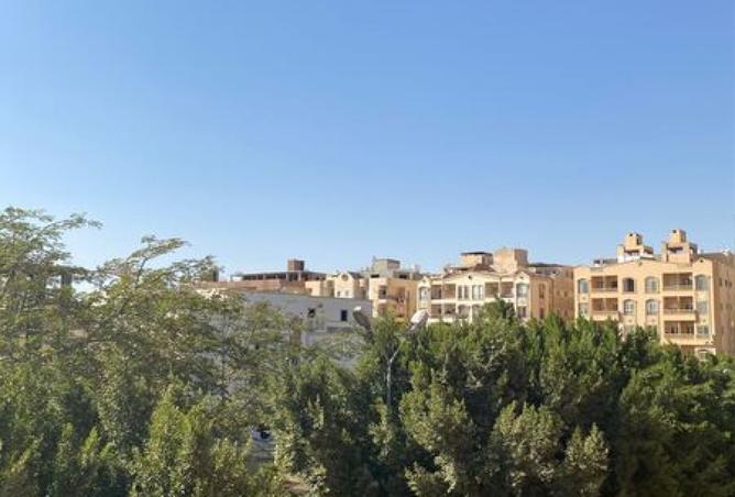 8183186 - Property Image 2