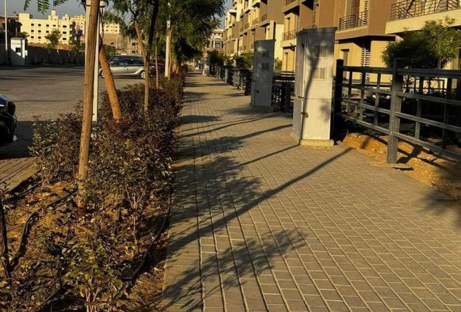 8308488 - صورة العقار 2