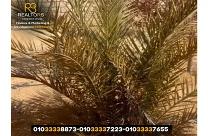 قطعة أرض - استوديو للبيع في القرية الذكية - طريق مصر اسكندرية الصحراوي - مدينة 6 أكتوبر - الجيزة