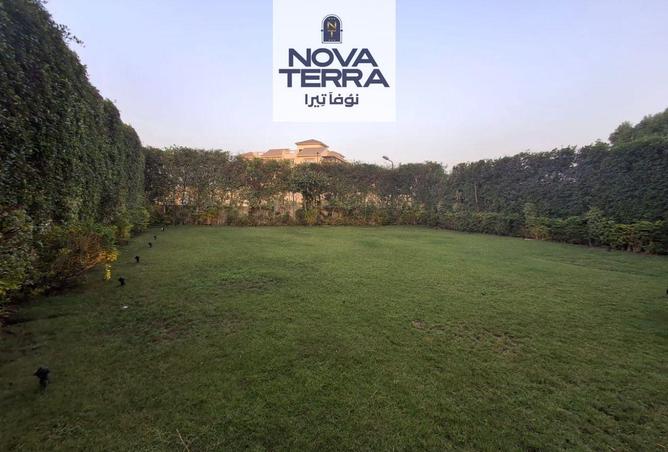 8248220 - Property Image 3