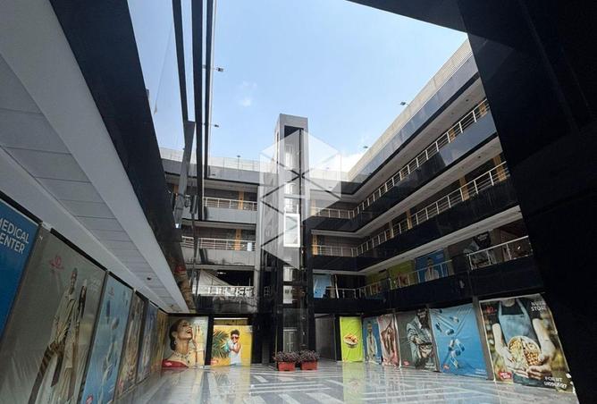 7952181 - Property Image 3