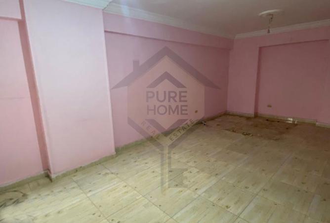 8191981 - Property Image 3