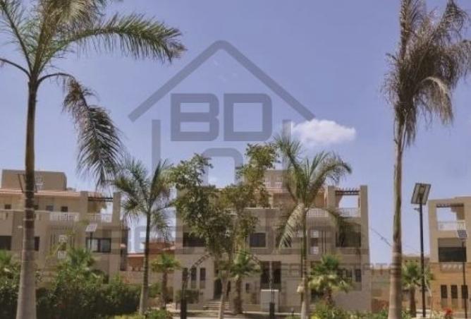 8484012 - صورة العقار 2