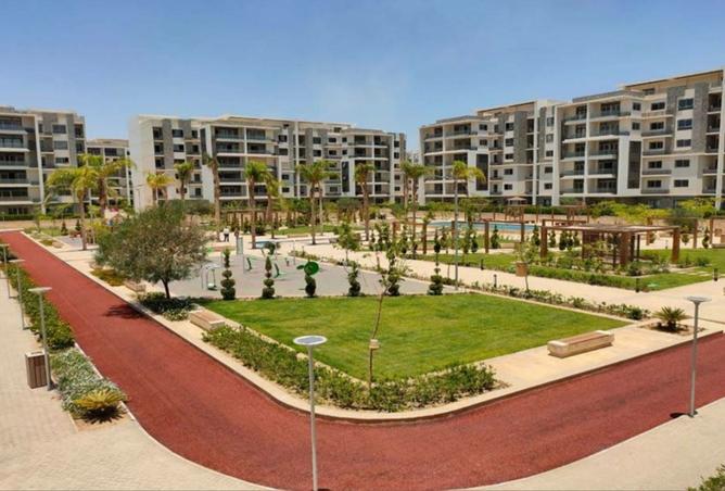 8042893 - Property Image 3