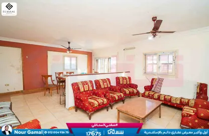 شقة - 3 غرف نوم - 2 حمامات للبيع في شارع مصطفي صادق الرافعي - فلمنج - حي شرق - الاسكندرية