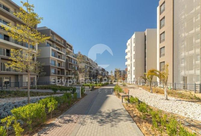 8414191 - Property Image 3