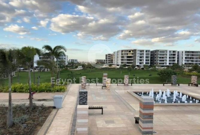 8005346 - Property Image 3