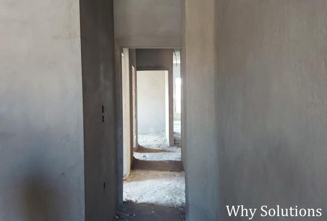 8384894 - Property Image 2