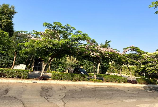 8333286 - Property Image 2