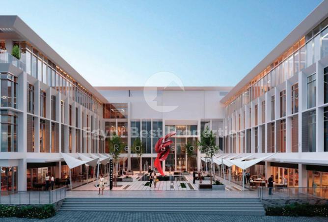 8151601 - Property Image 3