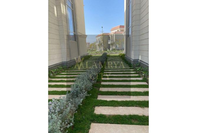 7953717 - صورة العقار 2