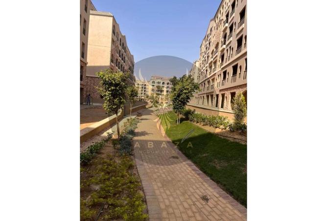 7904264 - Property Image 2