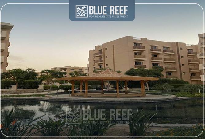 8410991 - صورة العقار 3