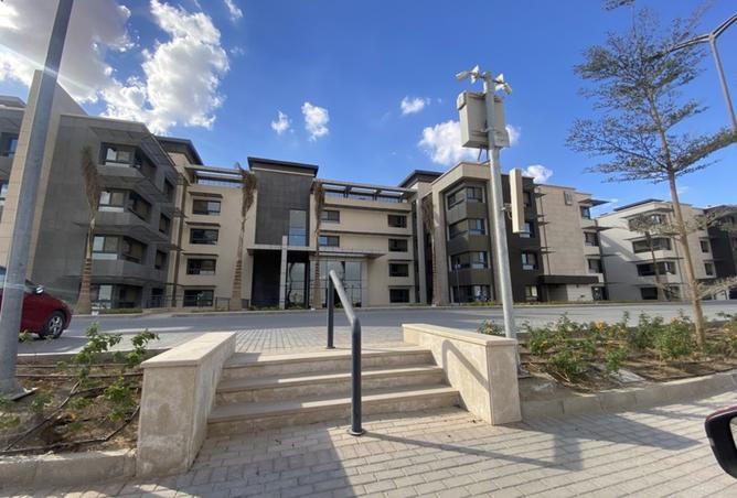 8376978 - Property Image 3