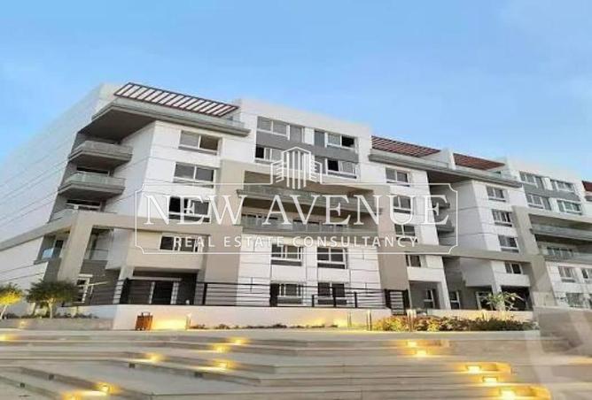 8459714 - Property Image 3