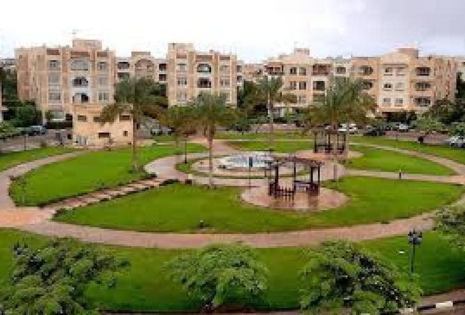 8011198 - الصورة الرئيسية للعقار