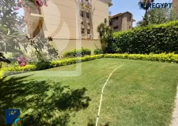 Duplex - 3 Bedrooms - 4 Bathrooms for rent in Street 213 - Degla - Hay El Maadi - Cairo