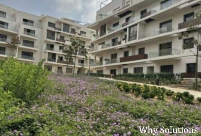 7822093 - Property Image 3