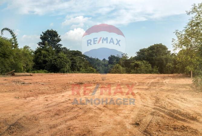 8409951 - Property Image 3