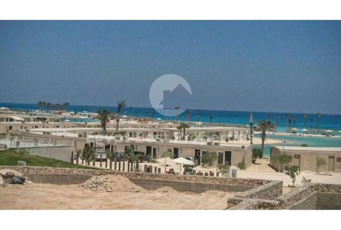 8037508 - صورة العقار 3