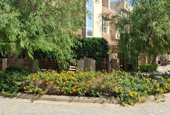 8159636 - صورة العقار 3