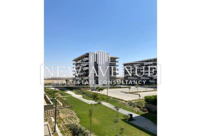 7935646 - صورة العقار 3
